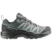 Дамски обувки за трекинг Salomon Exraise Gtx W зелен/сив Urban Chic / Black / Lichen