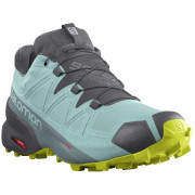 Дамски обувки Salomon Speedcross 5 GTX W