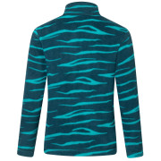Детски суитшърт Regatta Hot Shot II MeditZebra