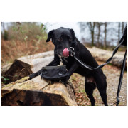 Купа за куче Mountain Paws Collapsible Dog Food Bowl