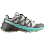 Дамски обувки Salomon Speedcross Peak сив/син Icicle / Castlerock / Aruba Blue