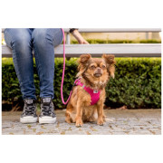 Повод за куче Curli Stretch Comfort Leash