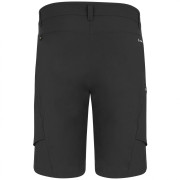 Мъжки къси панталони Salewa Puez Dst M Cargo Shorts