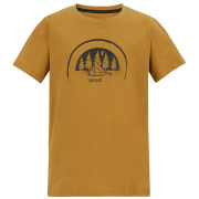 Детска тениска Regatta Bosley Wood Brown кафяв Wood Brown