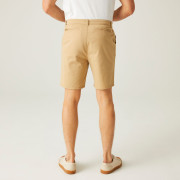 Мъжки къси панталони Regatta Sabden Short