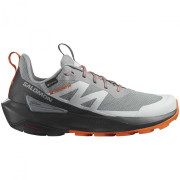 Мъжки туристически обувки Salomon Elixir Activ Gore-Tex сив Sharkskin