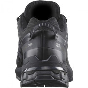 Мъжки туристически обувки Salomon Xa Pro 3D V9 Gore-Tex