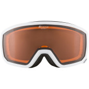 Ски очила Alpina Scarabeo S
