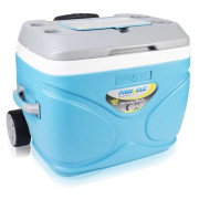 Хладилна кутия Pinnacle Prudence 66L