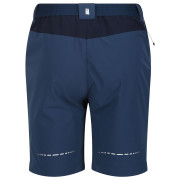 Мъжки къси панталони Regatta Mountain ShortsII M