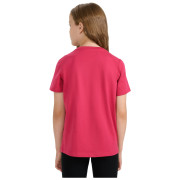 Детска тениска 4F Tshirt F2388