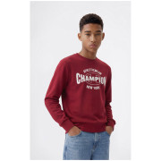 Детски суитшърт Champion Crewneck Sweatshirt B GMS