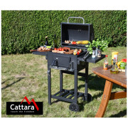Скара на дървени въглища Cattara Royal Partner
