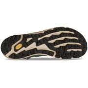 Мъжки туристически обувки Altra Timp 5 Hiker Gtx