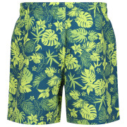 Мъжки къси панталони Regatta Loras Swim Short m