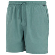 Мъжки къси панталони Regatta Hadlin Shorts