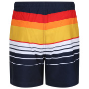 Мъжки къси панталони Regatta Loras Swim Short m