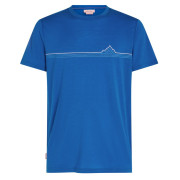 Мъжка тениска Icebreaker Men Merino 150 Tech Lite SS Tee Range Stripes
