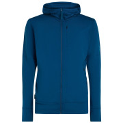 Функционален мъжки суитшърт Icebreaker M Mer 260 Quantum IV LS Zip Hoodie