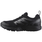 Мъжки обувки за бягане Salomon Wander Gore-Tex