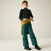 Детски ски панталони Dare 2b Outmove III Insulated Pant Mediterranea