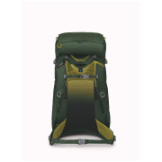 Детска раница Osprey Ace 38