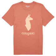 Мъжка тениска Cotopaxi Cotopaxi Llama T-Shirt