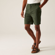 Мъжки къси панталони Regatta Dalry Short