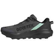 Дамски обувки за бягане Adidas Terrex Tracefinder Plus Gtx