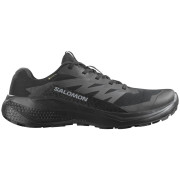 Мъжки обувки Salomon Alphaglide Gore-Tex