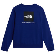 Мъжки суитшърт The North Face M Evolution Box Nse Regular Crew