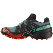 Мъжки обувки за бягане Salomon Speedcross 6 Gore-Tex