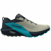 Мъжки обувки за бягане Salomon Sense Ride 5