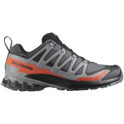 Мъжки туристически обувки Salomon Xa Pro 3D V9 Gore-Tex