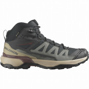 Мъжки обувки Salomon X Ultra 360 Mid Gore-Tex