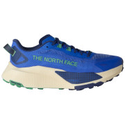 Мъжки обувки за бягане The North Face M Altamesa 500 V2 синьо/бял TNF Blue/Dimmed Algae