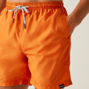 Мъжки къси панталони Regatta Mackleyna Swim Short