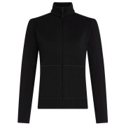 Дамски суитшърт Icebreaker W Mer 400 RealFleece Descender LS Z