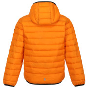 Детско зимно яке Regatta Jnr Hooded Marizion