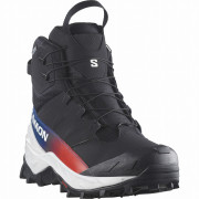 Мъжки обувки Salomon Crosstrak Powder Waterproof Equipe черен Black / Black / Black