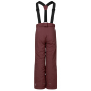 Детски зимен панталон Dare 2b Outmove III Insulated Pant Huckleberry