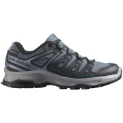 Дамски обувки за трекинг Salomon Extegra Gore-Tex сив Turbulence / Black / Grisaille