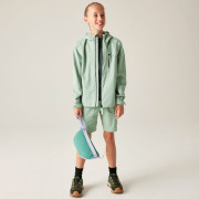 Детско яке Dare 2b Kids Switch II Jacket GlacierGreen
