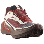 Мъжки обувки за бягане Salomon Genesis 2