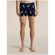 Мъжки функционални боксерки Icebreaker Men M 150 Anatomica Boxers BearTourAOP
