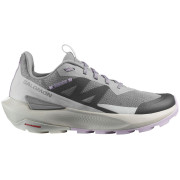 Дамски обувки Salomon Elixir Activ W сив Sharkskin / Glacier Gray / Orchid Petal