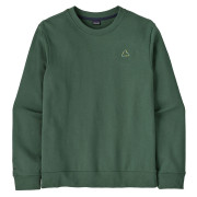 Мъжки суитшърт Patagonia M's Fitz Roy Massif Daily Crew зелен Canopy Green