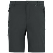 Мъжки панталони Regatta Anti-Insect Travel Light Z/O Trousers