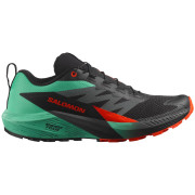 Мъжки обувки за бягане Salomon Sense Ride 5