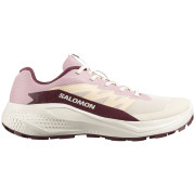 Дамски обувки за бягане Salomon Alphaglide
